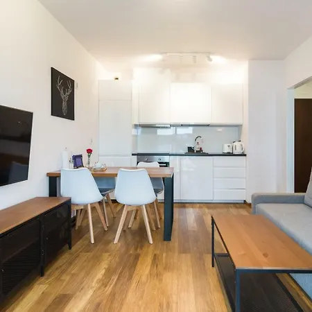 Cracow Best Rent Apartamento *
